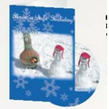 Have a Safe Holiday CD Greeting Card